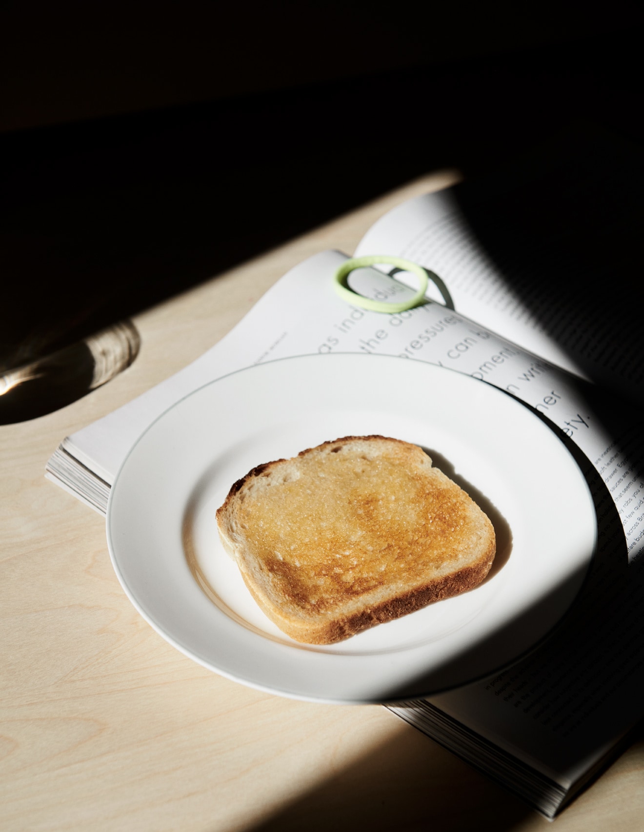 toast on a plate
